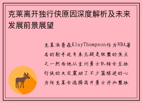 克莱离开独行侠原因深度解析及未来发展前景展望