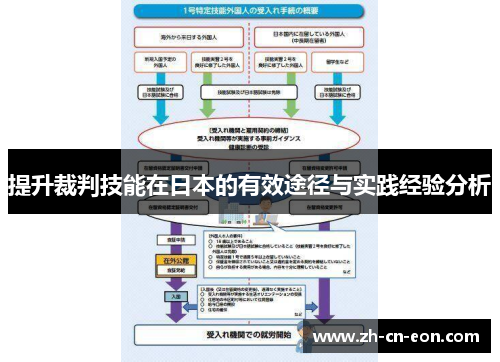 提升裁判技能在日本的有效途径与实践经验分析