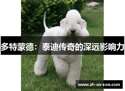 多特蒙德:泰迪传奇的深远影响力 多特蒙德:泰迪传奇的深远影响力