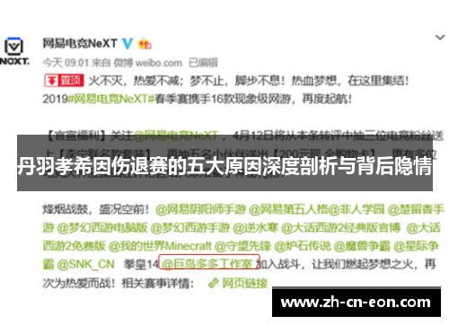丹羽孝希因伤退赛的五大原因深度剖析与背后隐情 丹羽孝希因伤退赛的五大原因深度剖析与背后隐情